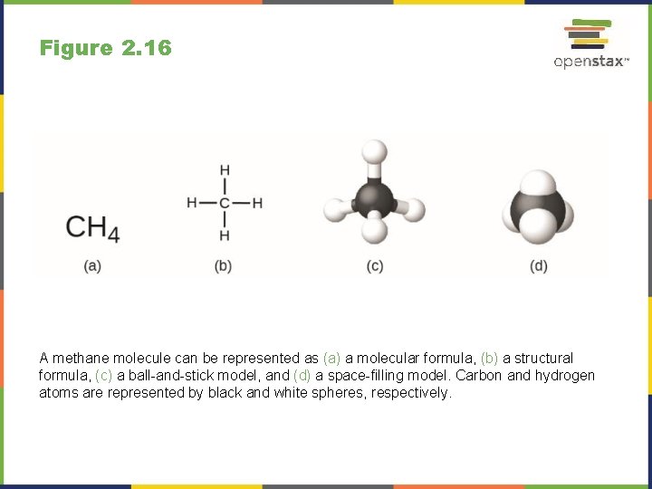 Figure 2. 16 A methane molecule can be represented as (a) a molecular formula, Figure 2. 16 A methane molecule can be represented as (a) a molecular formula,